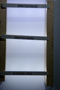 LED-Typen kaltweiß